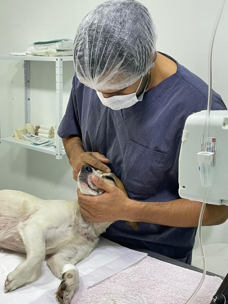 Estrutura da Kumpel Vet para atendimento ortopédico veterinário