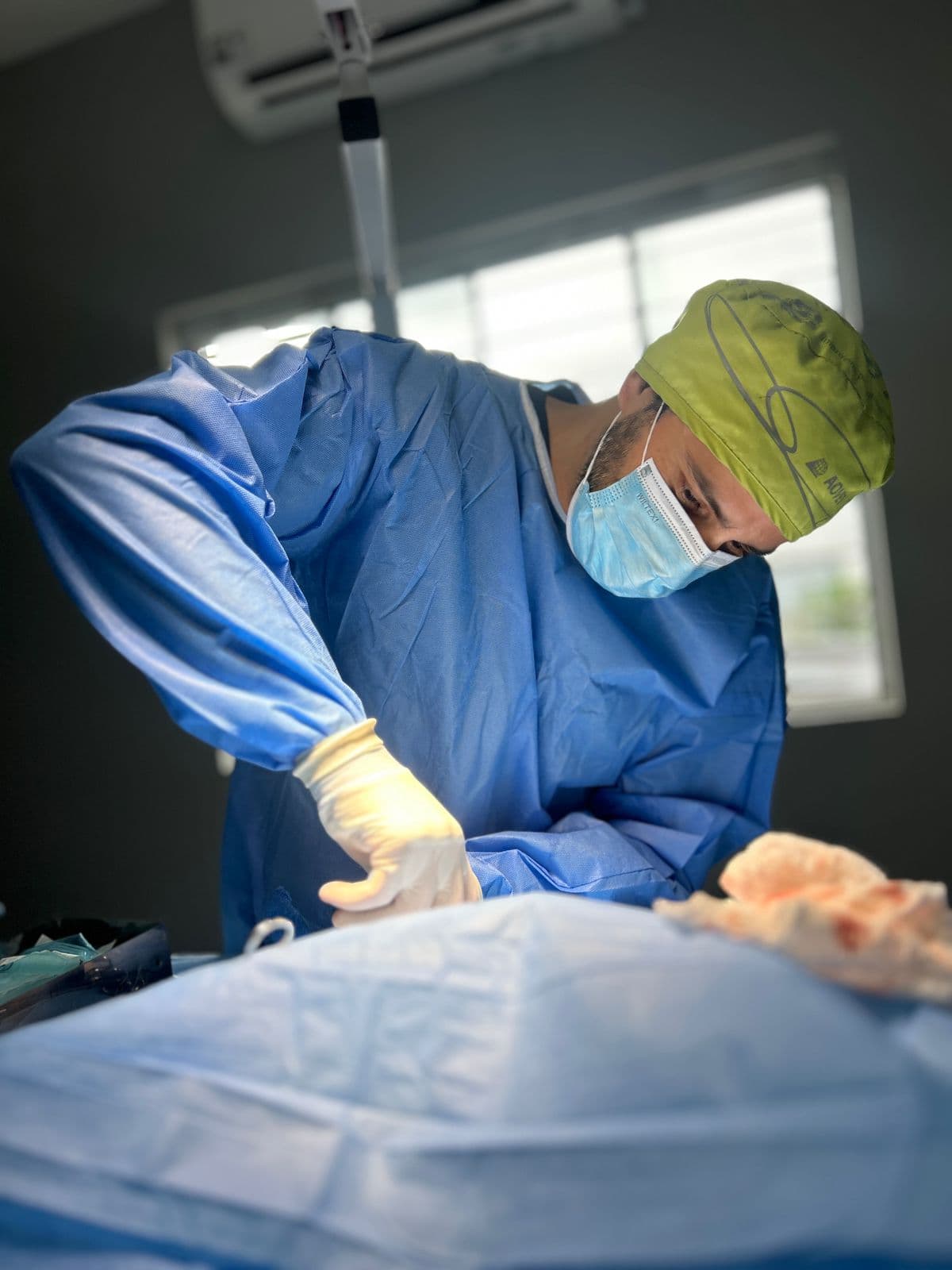 Cirurgia ortopédica veterinária